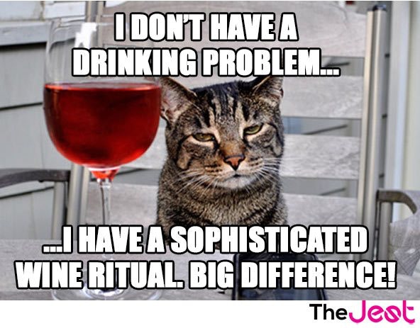 FUNNY-CAT-WINE-MEME-JEST